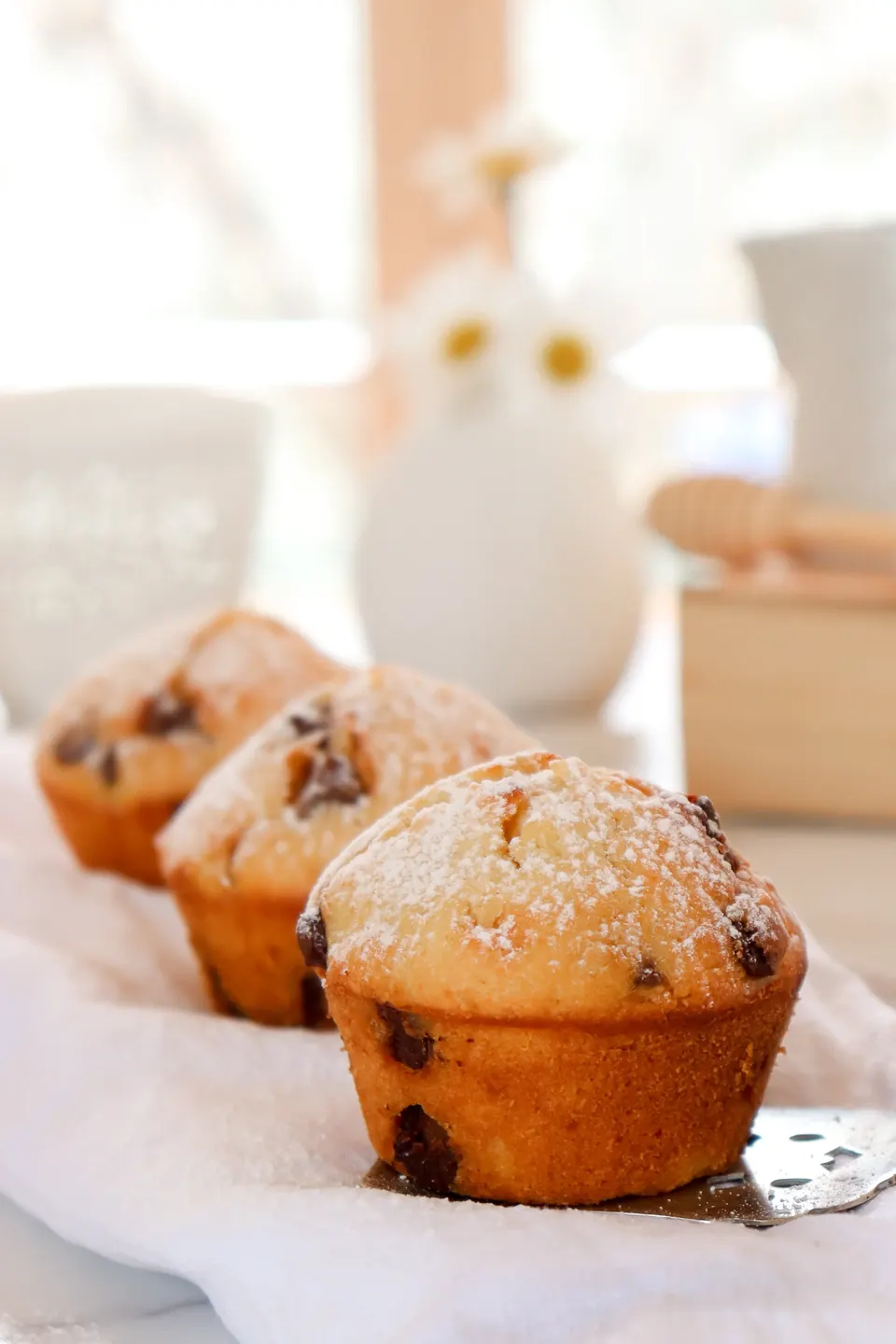 chocolate chip muffins