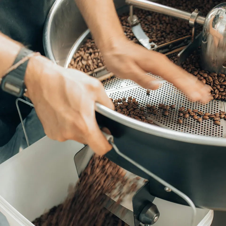 Best Places to Buy Coffee Beans for Fresh Flavor and Great Deals