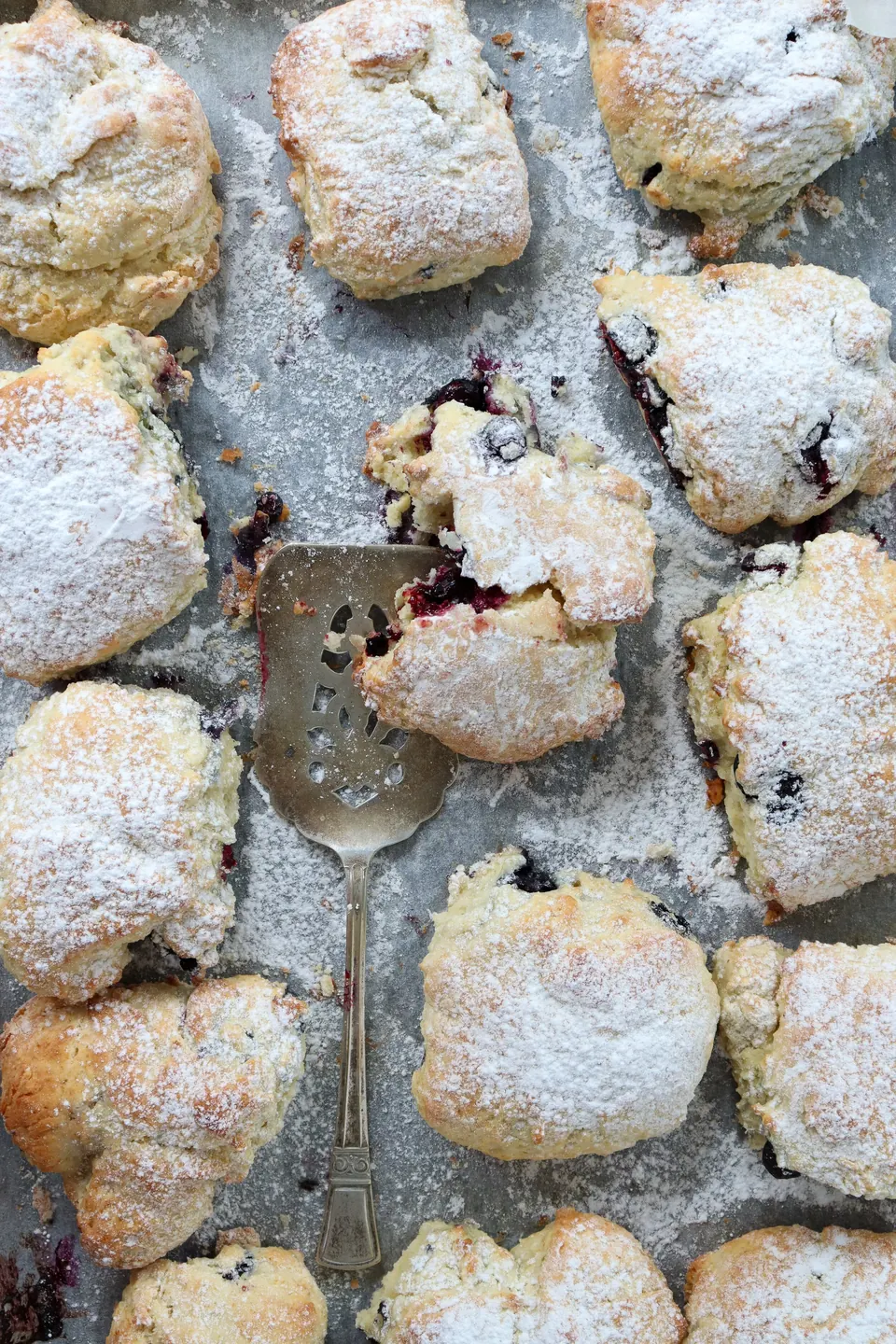 Blueberry scones dusted with powdered sugar on a baking sheet