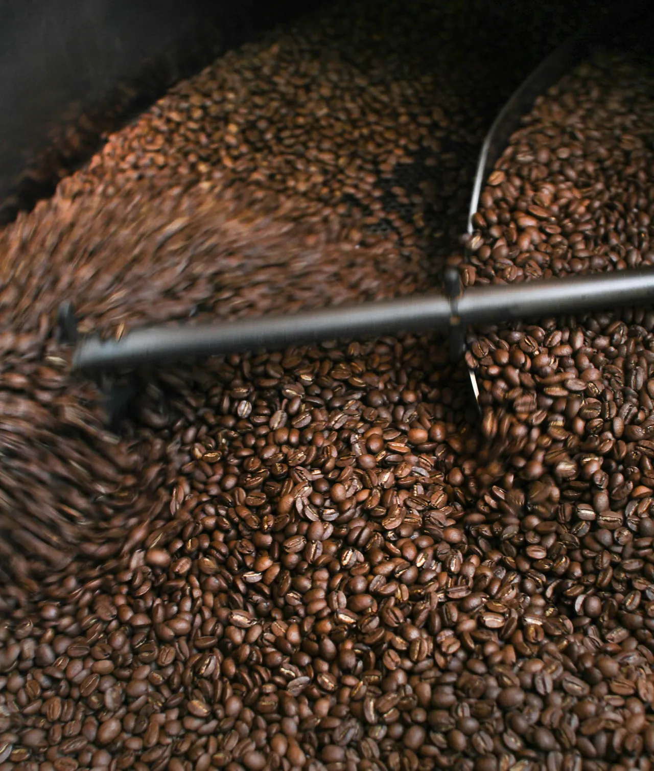 Best Coffee Beans to Buy for Better Morning Coffee