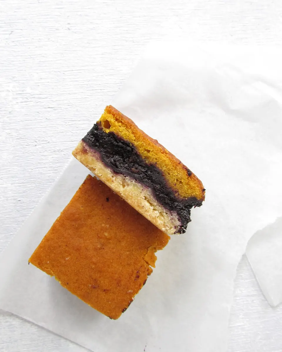pumpkin blueberry bars