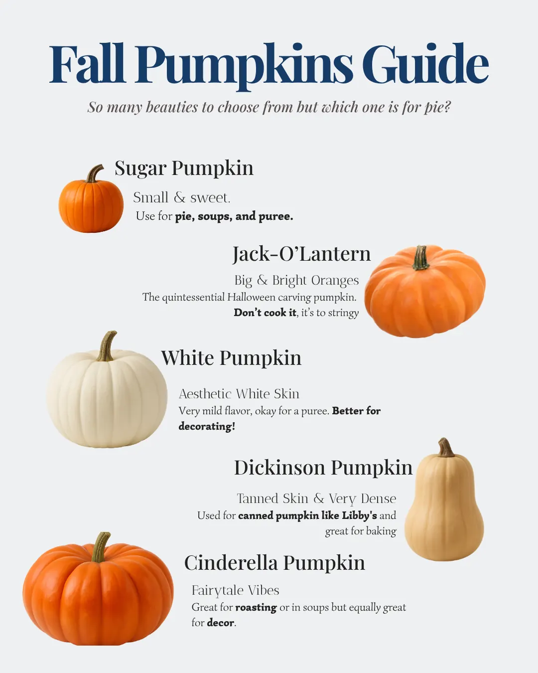 Which one? Sugar Pumpkin or Carving Pumpkin